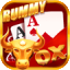 joy rummy 51
