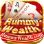rummy ci